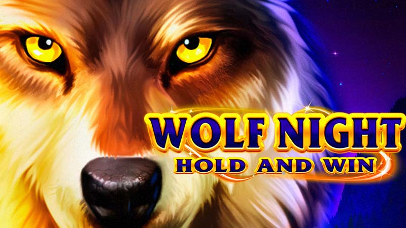 Wolf Night