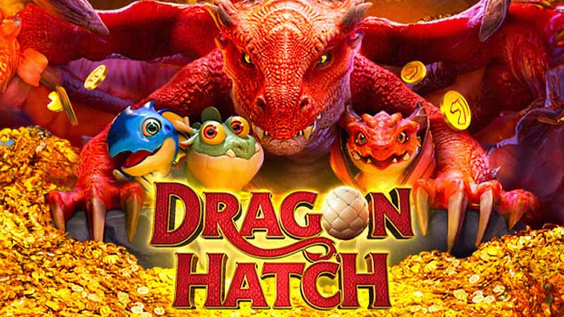 dragon hatch slot